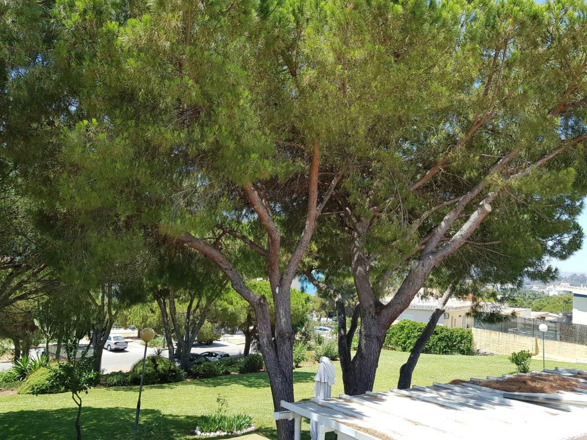 Lugar De La Luz Apartment เอสเตโปนา ภายนอก รูปภาพ